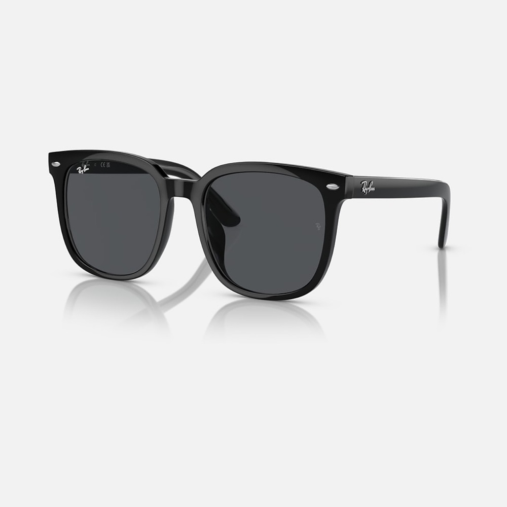 Ray-Ban Classic Black Sunglasses
